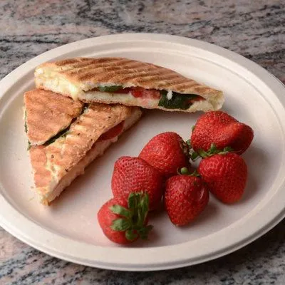 Десяти-дюймовые пластины из жома сахарного тростника